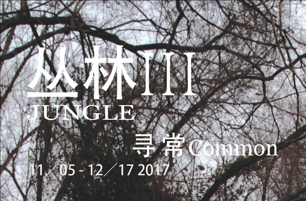 Jungle III — Common